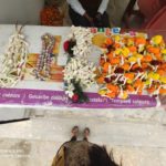 priya-flower-shop-nabapally-kolkata