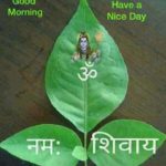 shiv-shakti-realty-estate-agents-airport-kolkata